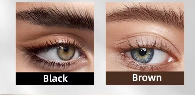 ตัวอย่างสีขนตา Black และ Brown